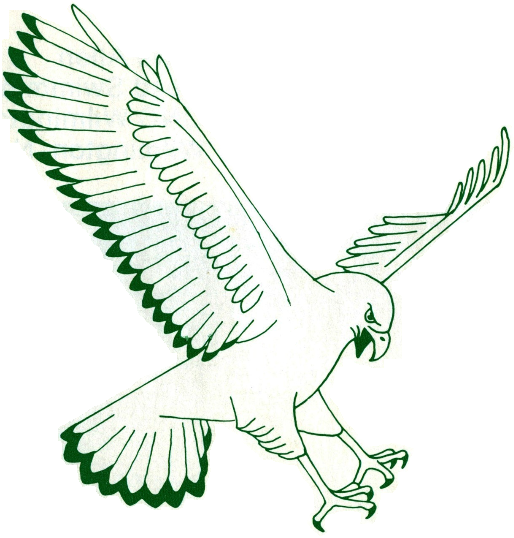 NC-Wilmington Seahawks 1977-1985 Primary Logo iron on paper